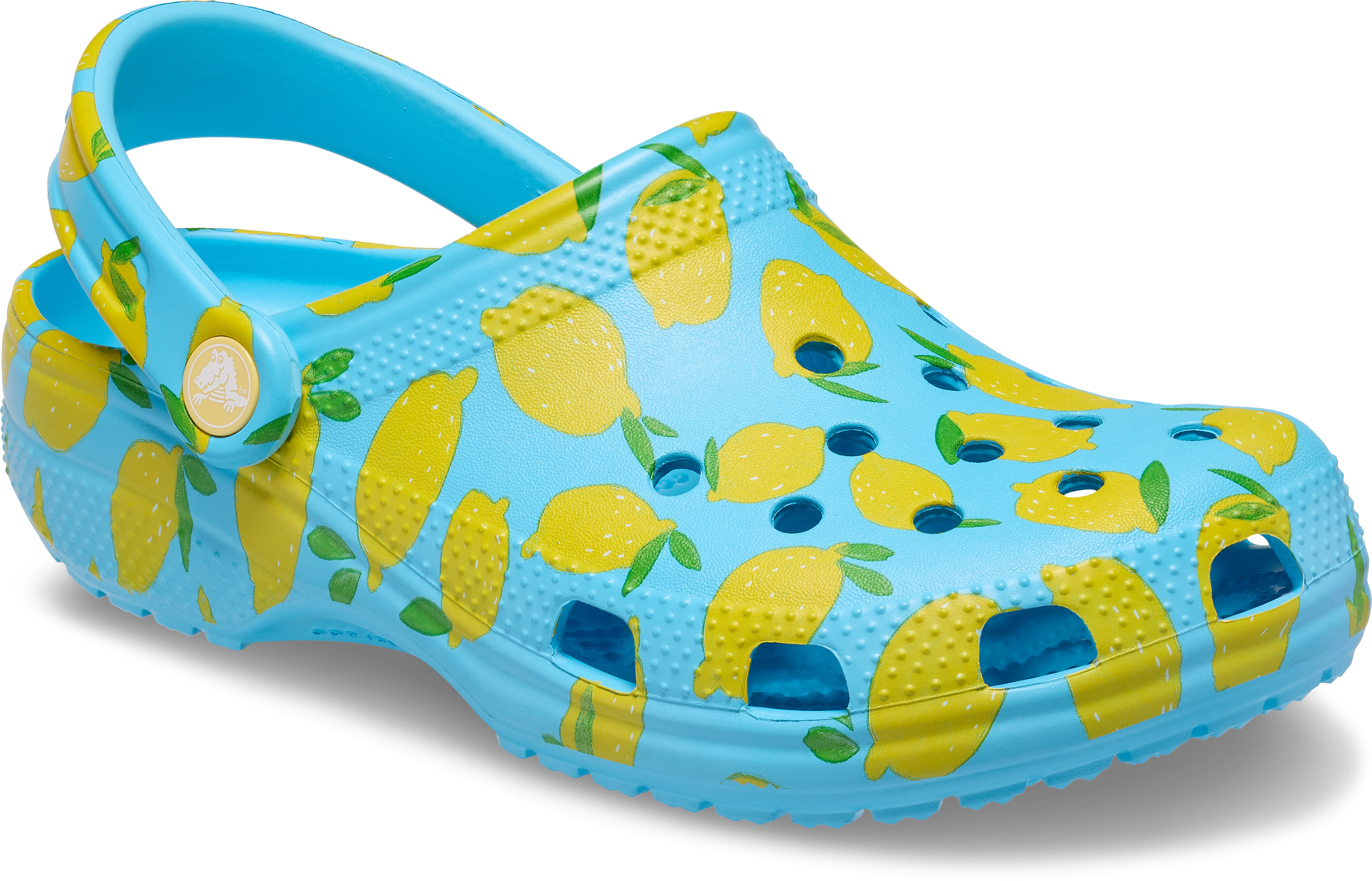 Classic Fresh Fruits Clogs - Tinted Glass